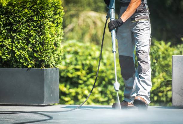 Best Driveway Pressure Washing  in Hodgkins, IL
